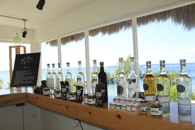 3-Hour Small-Group Mezcal and Tequila Tasting activity from Cozumel - Why the group size matters