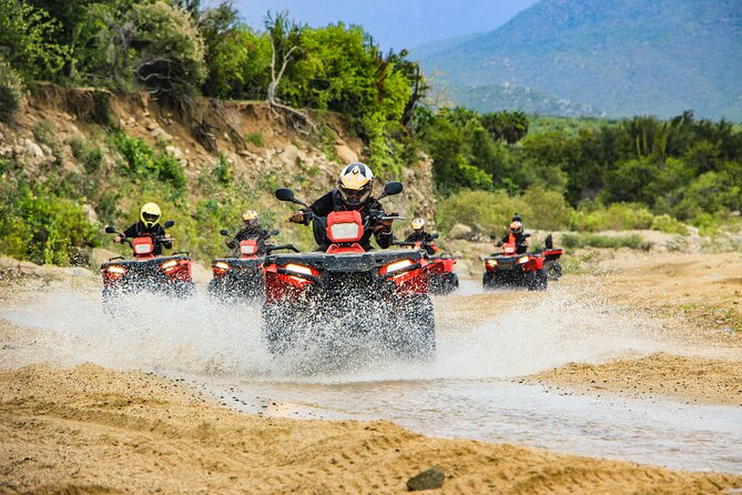 4x4 ATV Adventure with Tequila Tasting and Mexican Buffet Lunch - Key points at a glance