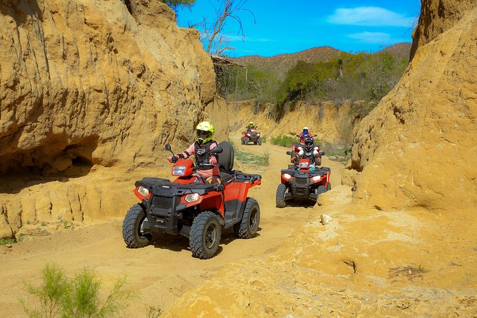 4x4 ATV Adventure with Tequila Tasting and Mexican Buffet Lunch - Oceanfront Mexican buffet after the dust