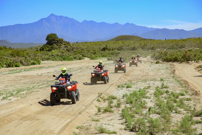 4x4 ATV Adventure with Tequila Tasting and Mexican Buffet Lunch - Tequila and mezcal, but keep expectations modest