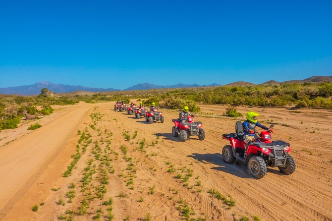 4x4 ATV Adventure with Tequila Tasting and Mexican Buffet Lunch - The real price: $75 plus $60 in required fees