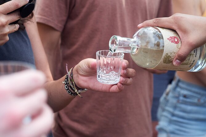 Artisanal Mezcal Culture Tour for Tasting and History - Why Santiago Matatlán gives mezcal a proper setting