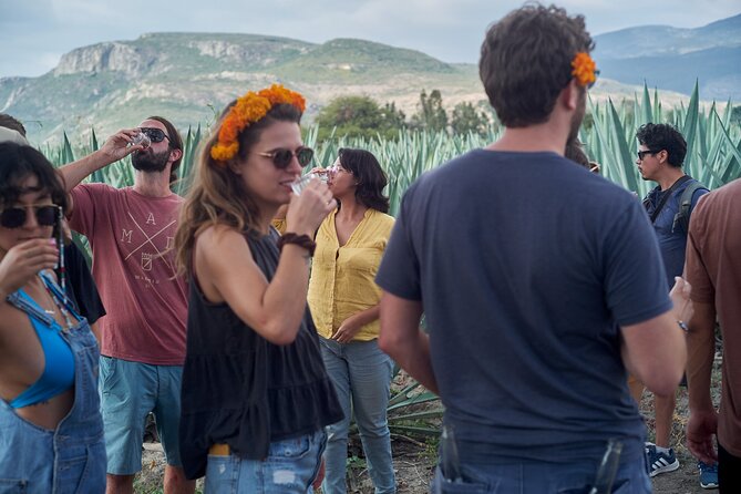 Artisanal Mezcal Culture Tour for Tasting and History - Walking the agave fields with a local guide