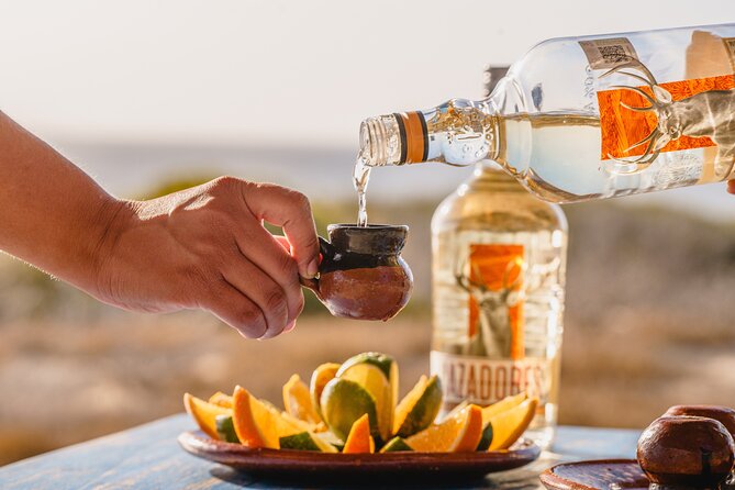 ATV Tour, Camel Ride, Tequila Tasting and Mexican Buffet Lunch - Key points at a glance