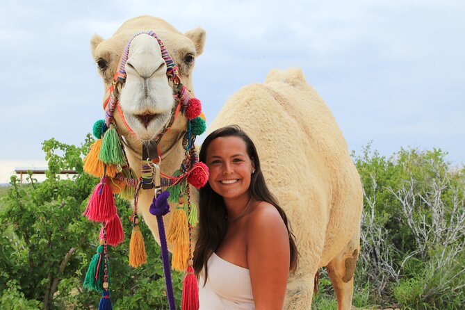 ATV Tour, Camel Ride, Tequila Tasting and Mexican Buffet Lunch - What this Cabo combo tour actually includes