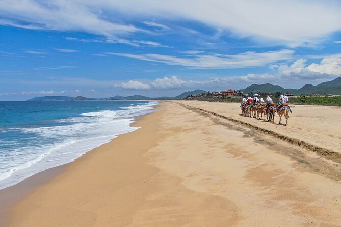 ATV Tour, Camel Ride, Tequila Tasting and Mexican Buffet Lunch - Tequila tasting and the Mexican buffet