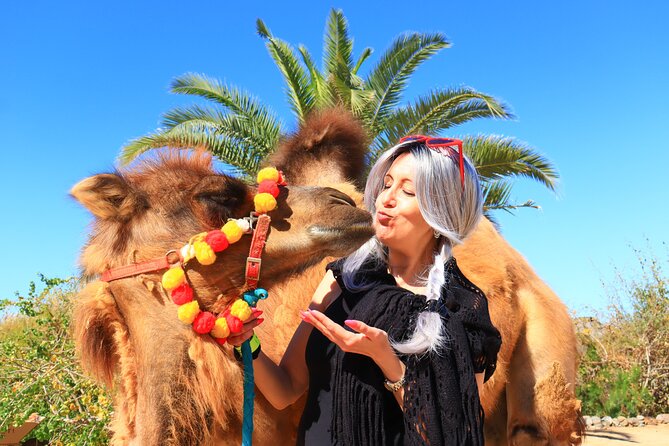 ATV Tour, Camel Ride, Tequila Tasting and Mexican Buffet Lunch - The photo policy and the extra-cost problem