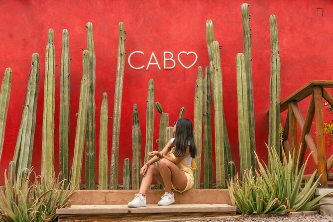 ATV Tour, Camel Ride, Tequila Tasting and Mexican Buffet Lunch - What the tour costs and who gets good value