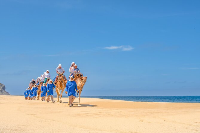 ATV Tour, Camel Ride, Tequila Tasting and Mexican Buffet Lunch - Practical advice before you reserve