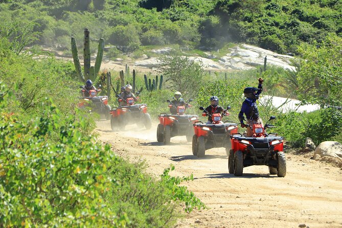 ATV Tour, Camel Ride, Tequila Tasting and Mexican Buffet Lunch - The ATV ride through cactus and canyon trails