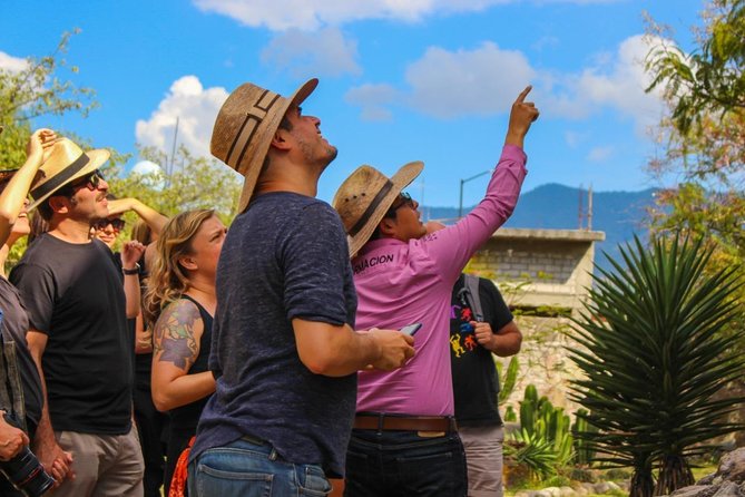 Boil the Water, Mitla, Tule, Mezcal and more - Lunch at Donaji: convenient, but not a highlight for everyone