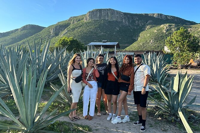 Boil Water,Tube Tree,Mitla,Mezcal and Teotitlan Valley - A buffet lunch with moles, tortillas, and local dishes