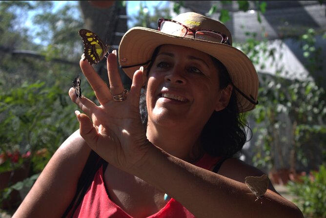 Butterflies, City tour, tequila, and beach (kids free) - Key points to know before booking