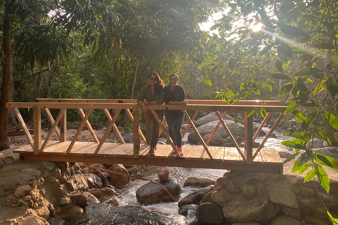 Butterflies, City tour, tequila, and beach (kids free) - What this Puerto Vallarta tour is trying to do
