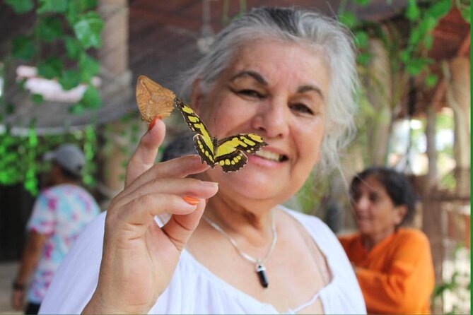 Butterflies, City tour, tequila, and beach (kids free) - Tequila tasting and the cost of saying no