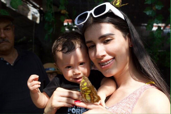 Butterflies, City tour, tequila, and beach (kids free) - Mismaloya Beach and your free hour