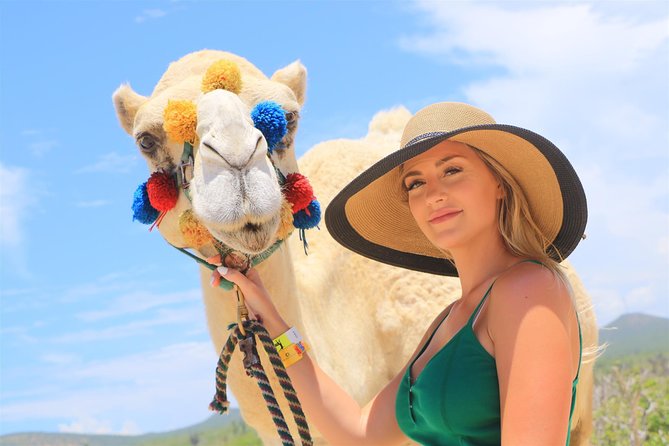 Cabo Beach Camel Ride, Mexican Buffet and Tequila Tasting - Mexican buffet beside the water