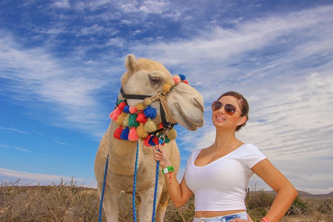 Cabo Beach Camel Ride, Mexican Buffet and Tequila Tasting - Rancho Tierra Sagrada and its coastal setting