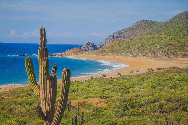 Cabo: Beach & Desert Single ATV Tour with Tequila Tasting - Key points to know before you book