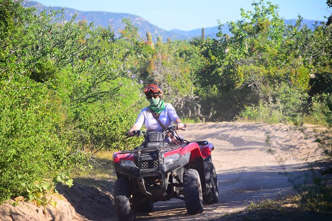 Cabo Candelaria Village Adventure + Tequila Tasting - What the $170 Price Really Covers