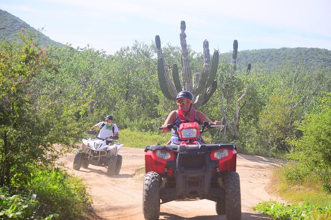 Cabo Candelaria Village Adventure + Tequila Tasting - Practical Booking Advice for Cabo