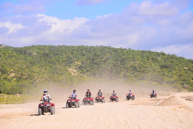 Cabo Desert Off-Road & Beach Horseback Combo and Tequila Tasting - Key points before you book