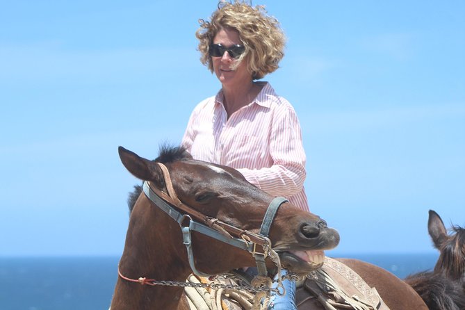 Cabo Desert Off-Road & Beach Horseback Combo and Tequila Tasting - What the $100 price really gets you