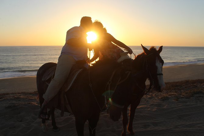 Cabo Desert Off-Road & Beach Horseback Combo and Tequila Tasting - Safety, equipment, and the feel of the operation