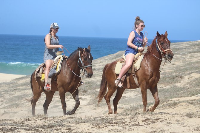 Cabo Desert Off-Road & Beach Horseback Combo and Tequila Tasting - Timing, cancellation, and practical preparation
