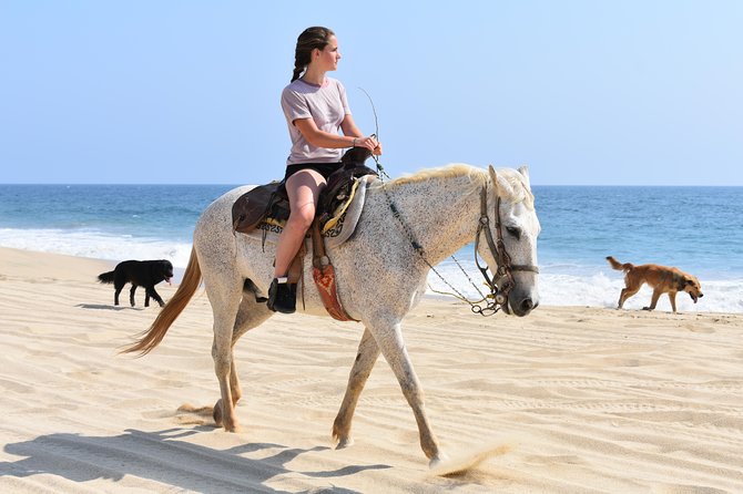 Cabo Desert Off-Road & Beach Horseback Combo and Tequila Tasting - The ATV ride through desert and mountain country