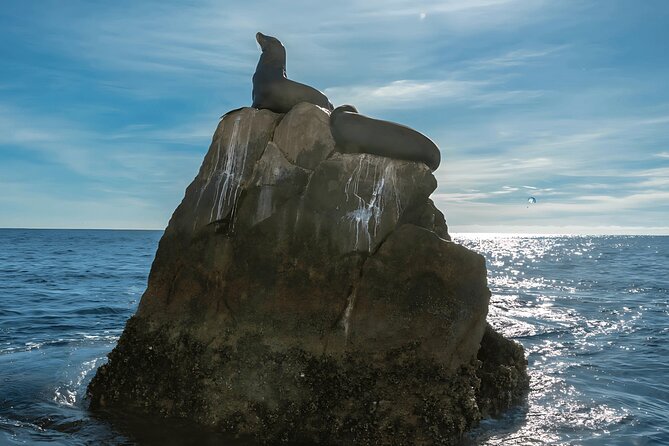 Cabo San Lucas Arch & City Tour: Glass-Bottom Boat & Tequila - Tequila tasting brings Mexican tradition to the afternoon