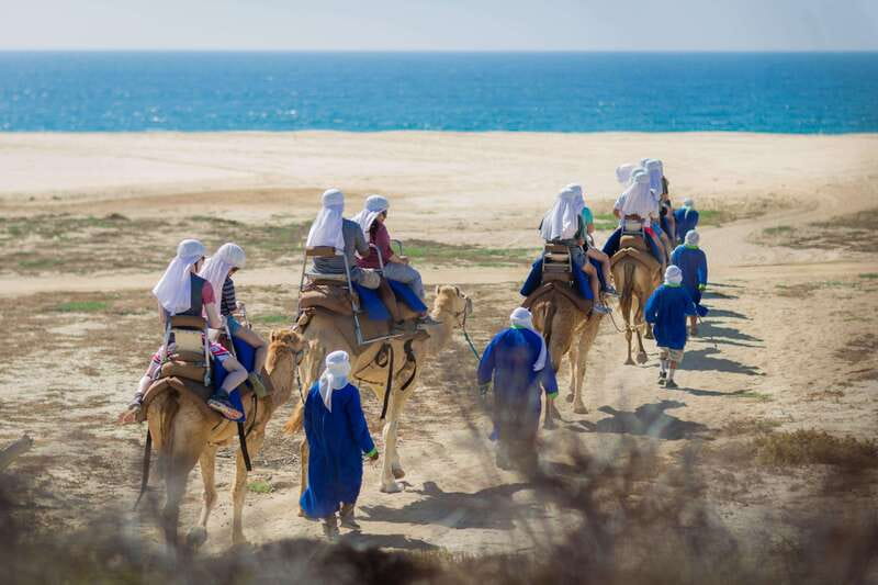 Cabo San Lucas: Camel Safari Tour with Lunch and Tequila - Key things to know before booking
