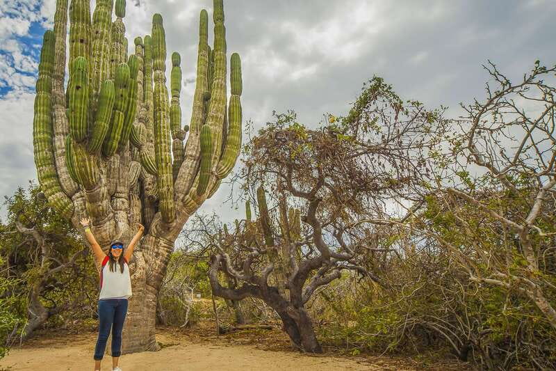 Cabo San Lucas: Camel Safari Tour with Lunch and Tequila - Practical tips for a smoother visit