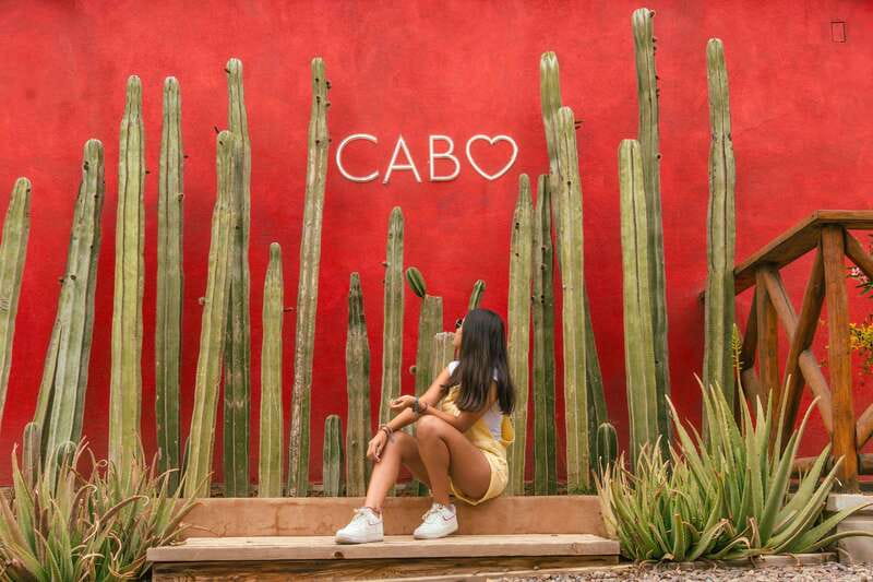 Cabo San Lucas: Camel Safari Tour with Lunch and Tequila - A camel safari with a Pacific Ocean backdrop