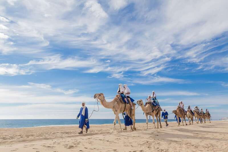 Cabo San Lucas: Camel Safari Tour with Lunch and Tequila - A short desert walk with useful context