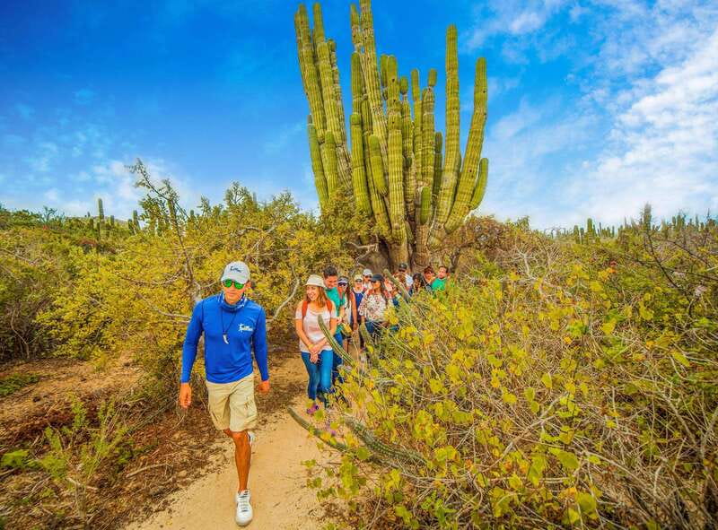 Cabo San Lucas: Camel Safari Tour with Lunch and Tequila - Tequila tasting with a casual Cabo feel