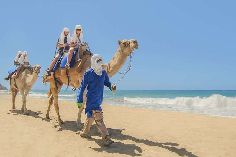 Cabo San Lucas: Camel Safari Tour with Lunch and Tequila - The 20-minute beach ride