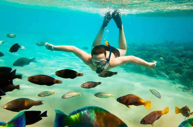 Cabo San Lucas Shopping, Tequila Tasting, and Snorkel Tour - Lunch and drinks need a clear expectation