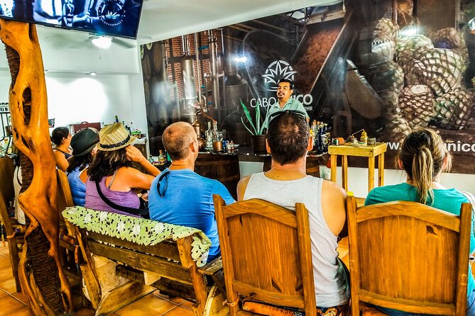 Cabo San Lucas Tequila Tasting Experience - The opening lesson: agave, place, and production