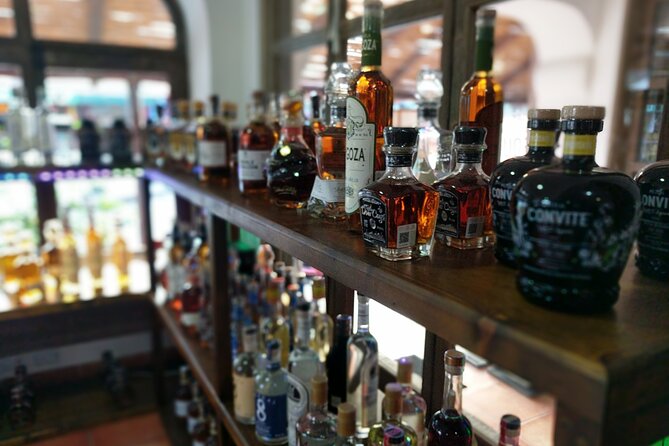 Cabo San Lucas Tequila Tasting Experience - A 90-minute plan that fits Cabo well