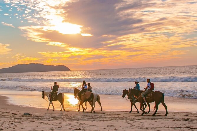 Cabo Shore Excursion: Beach Horseback Ride & Tequila Tasting - From Cabo to Migriño in about 30 minutes