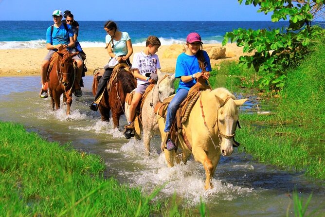 Cabo Shore Excursion: Beach Horseback Ride & Tequila Tasting - Playa Migrino and the Pacific shore