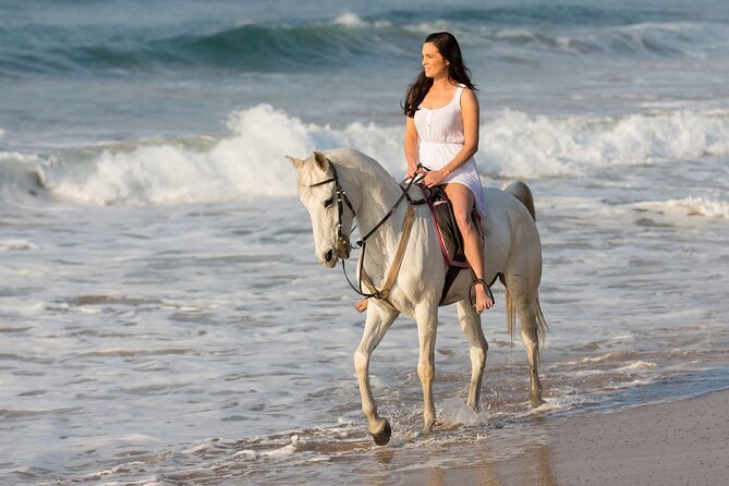 Cabo Shore Excursion: Beach Horseback Ride & Tequila Tasting - The tequila tasting: small pours, useful guidance