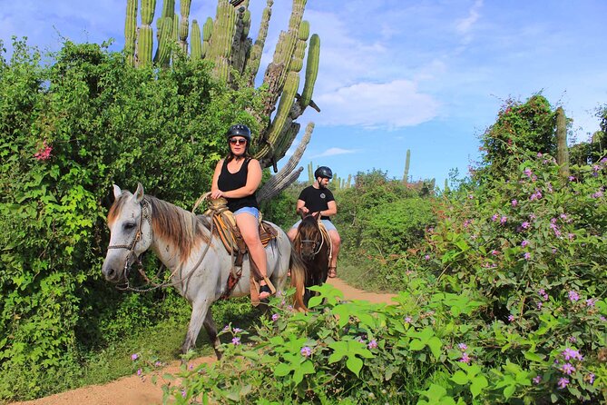 Cabo Shore Excursion: Beach Horseback Ride & Tequila Tasting - Photos, private tours, and upselling