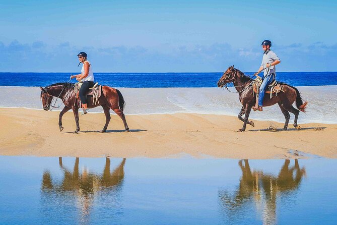Cabo Shore Excursion: Beach Horseback Ride & Tequila Tasting - Choosing a horse and meeting your guide