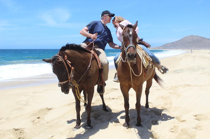 Cabo White Sand Horseback Riding Tour and Tequila Tasting - From Cabo’s desert to a white-sand beach
