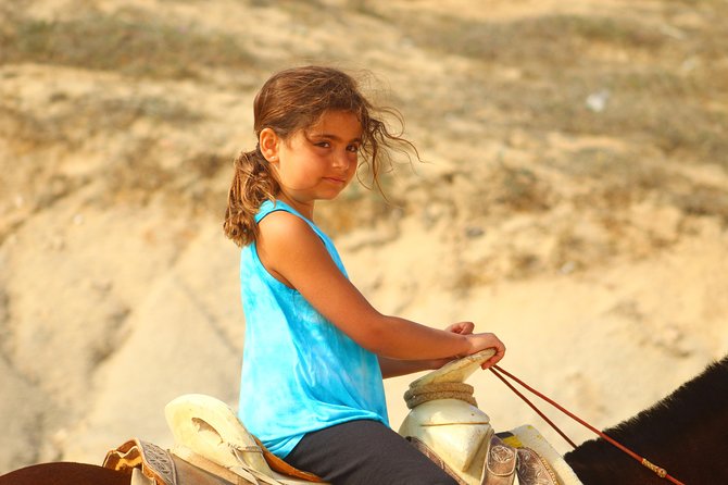 Cabo White Sand Horseback Riding Tour and Tequila Tasting - Whale watching from horseback between November and May