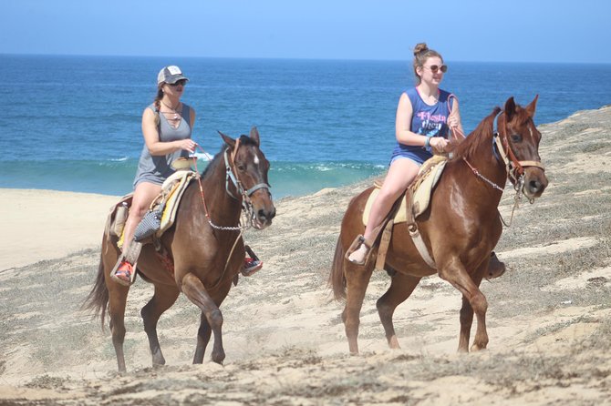 Cabo White Sand Horseback Riding Tour and Tequila Tasting - Hotel pickup can add hours to the day