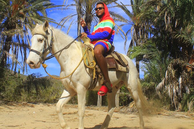 Cabo White Sand Horseback Riding Tour and Tequila Tasting - The $85 price needs a closer look