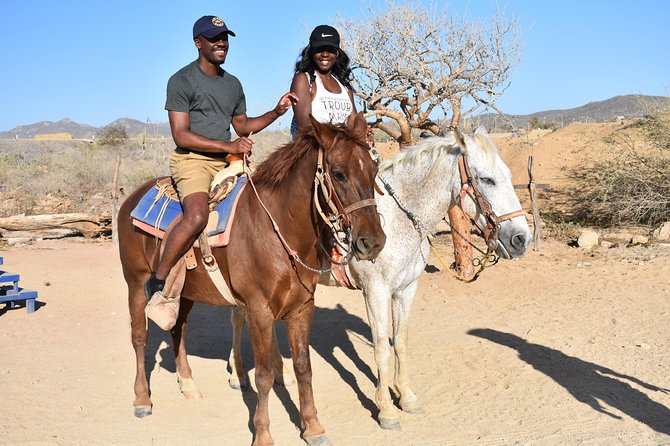 Cabo White Sand Horseback Riding Tour and Tequila Tasting - Tips, photos, and sales pressure